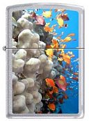 Zippo Feuerzeuge 0751 Coral Reef - Korallenriff